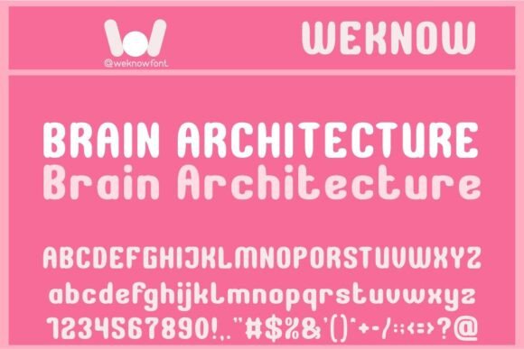 Brain Architecture Font for Handmade Products and Craft Packaging